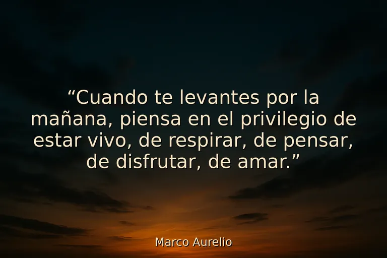 20 Frases de la mañana con propósito y enfoque