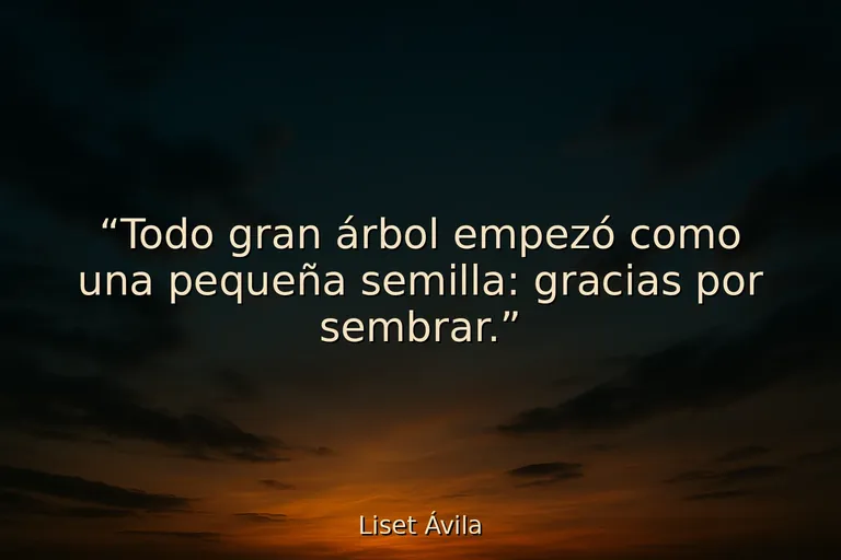 20 Frases para padres de preescolar motivados 20 Frases para padres de preescolar motivados