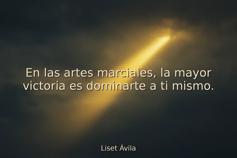 mejores frases de motivacion para artes marciales mejores frases de motivacion para artes marciales